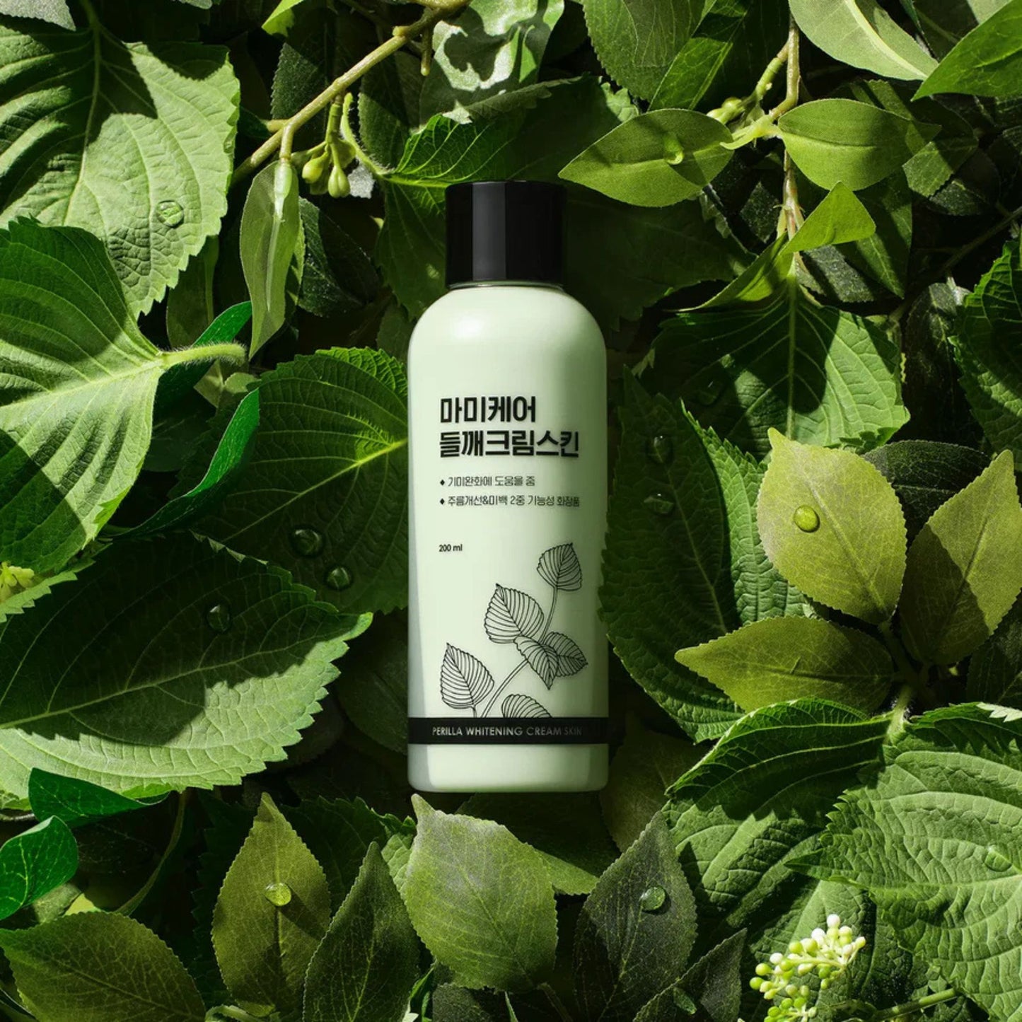 MOMMY CARE Perilla Whitening Cream Skin 200ml – Crema Facial Coreana Aclaradora con Extracto de Perilla y Ácido Tranexámico para Manchas y Tono Uniforme