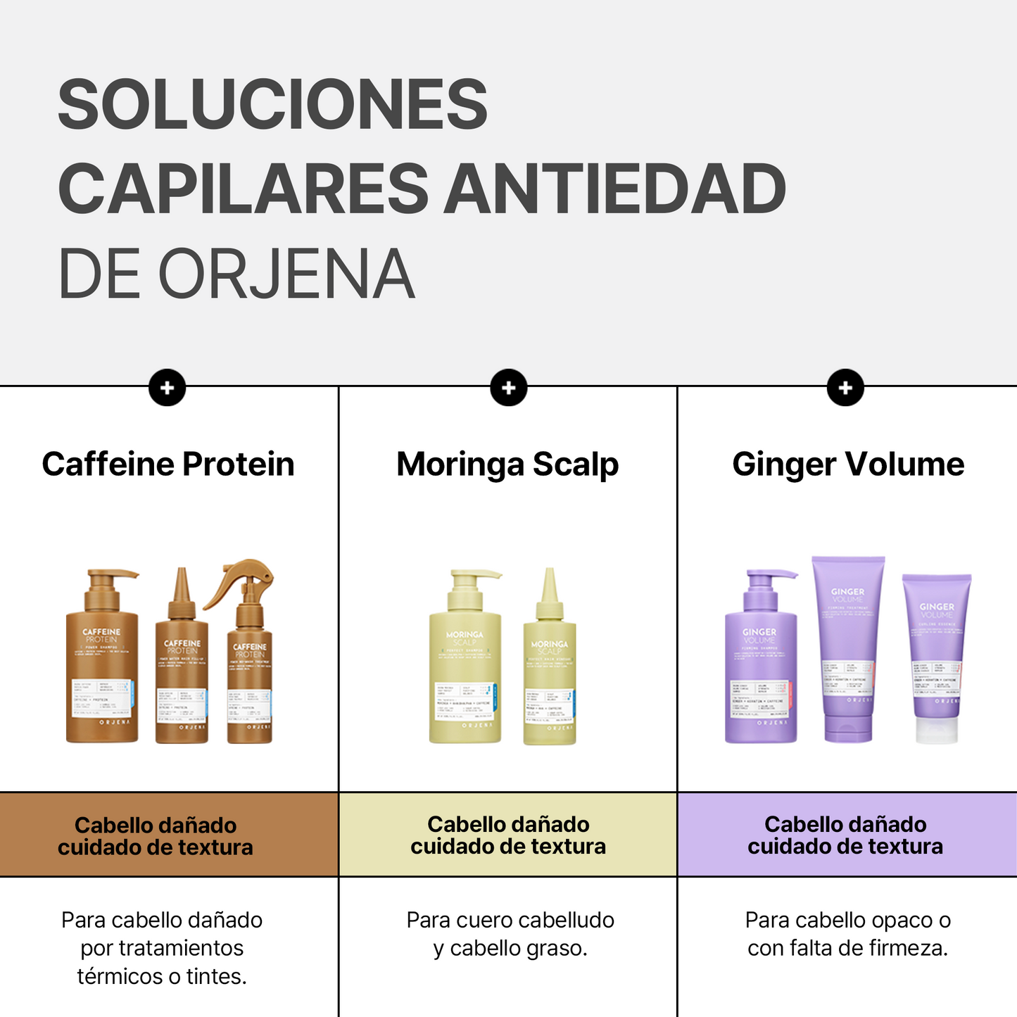 ORJENA Ginger Volume Firming Shampoo 500ml – Champú Voluminizador con Extracto de Jengibre, Keratina y Cafeína para Cabello Fuerte y Saludable