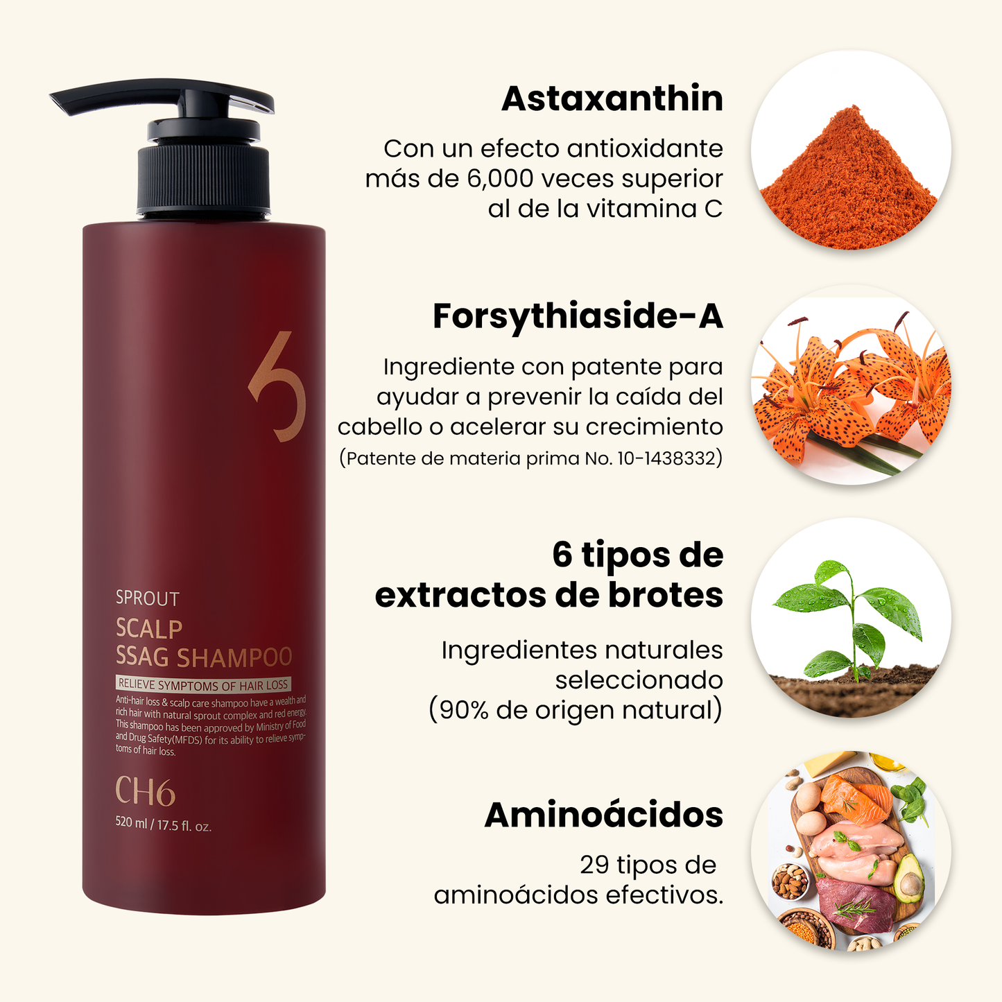 CH6 Scalp Ssag Shampoo 520ml – Champú Coreano Anticaída y Anti-Envejecimiento para Cuero Cabelludo Sensible con Extracto de Gotu Kola