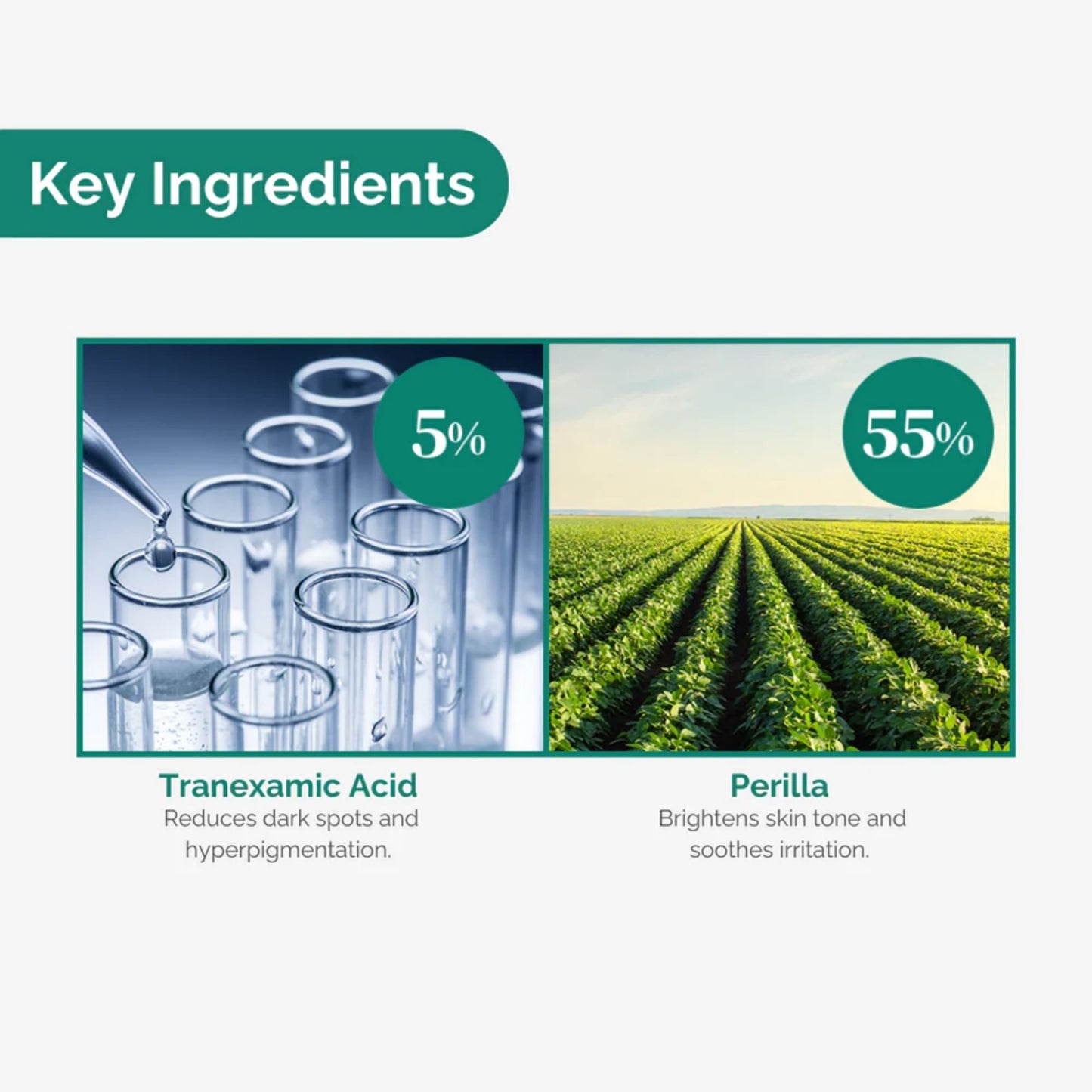 MOMMY CARE Perilla Whitening Cream TX 50g – Crema Facial Coreana con Ácido Tranexámico para Mejorar Manchas y Tonalidad del Rostro