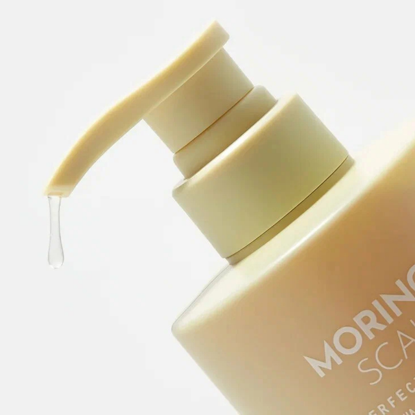 ORJENA MORINGA SCALP PERFECT SHAMPOO 500ML