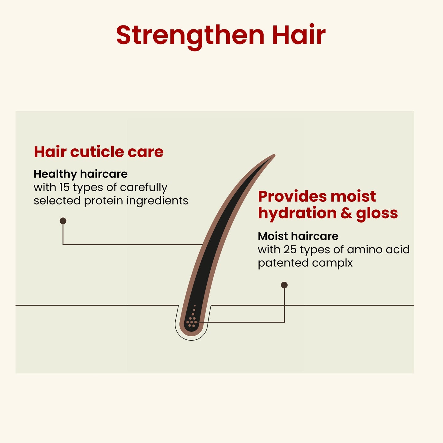 CH6 Scalp Ssag Shampoo 520ml