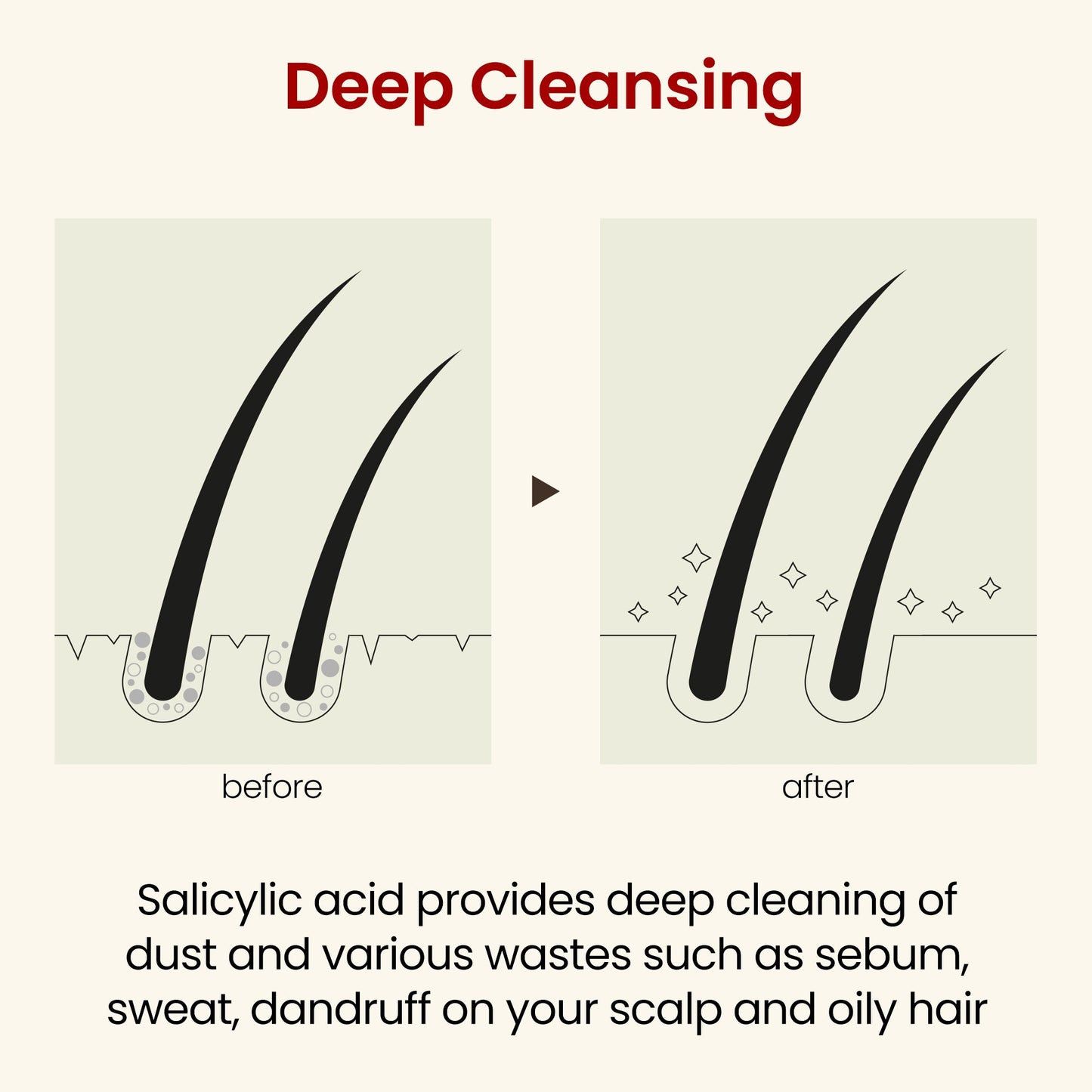 CH6 Scalp Ssag Shampoo 520ml