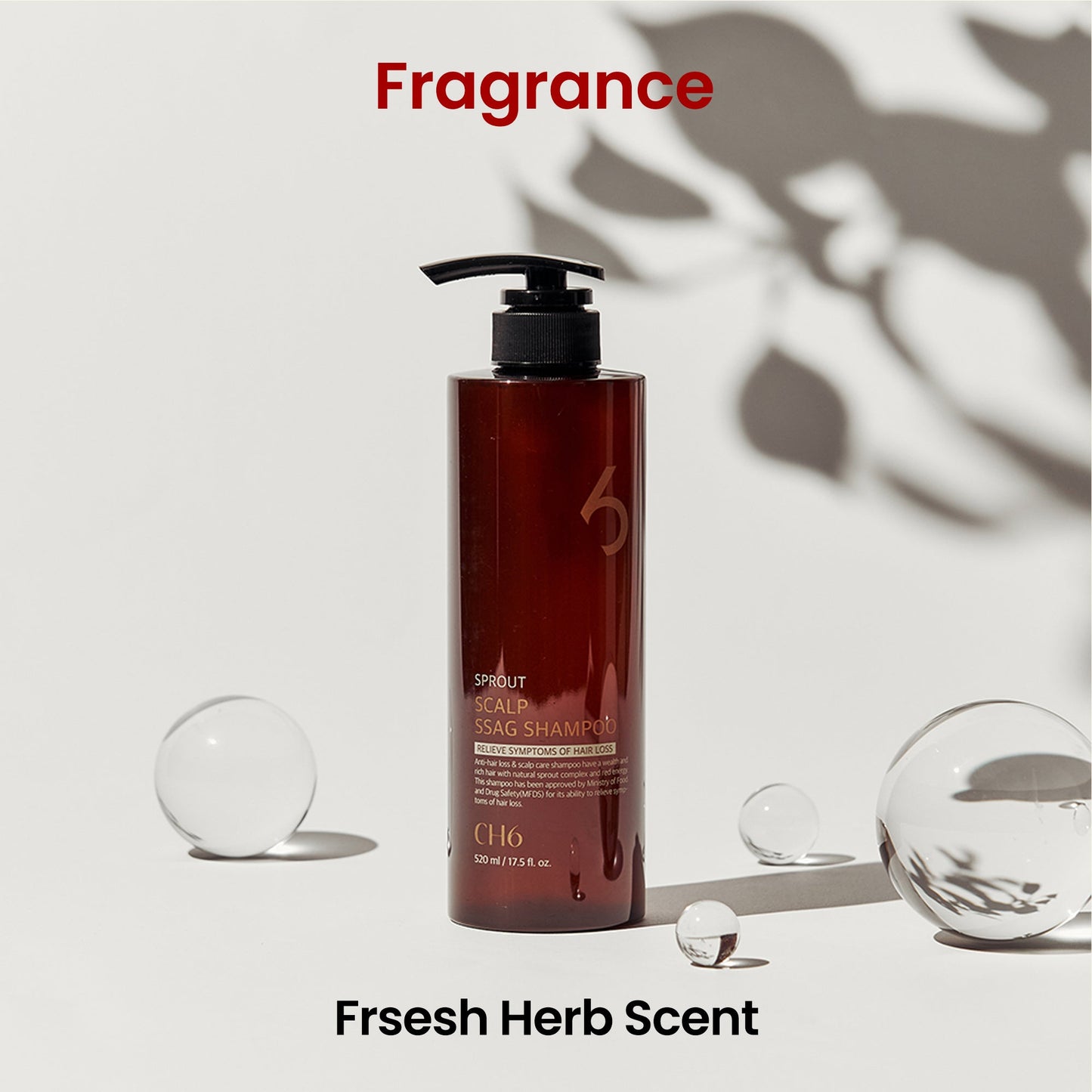 CH6 Scalp Ssag Shampoo 520ml