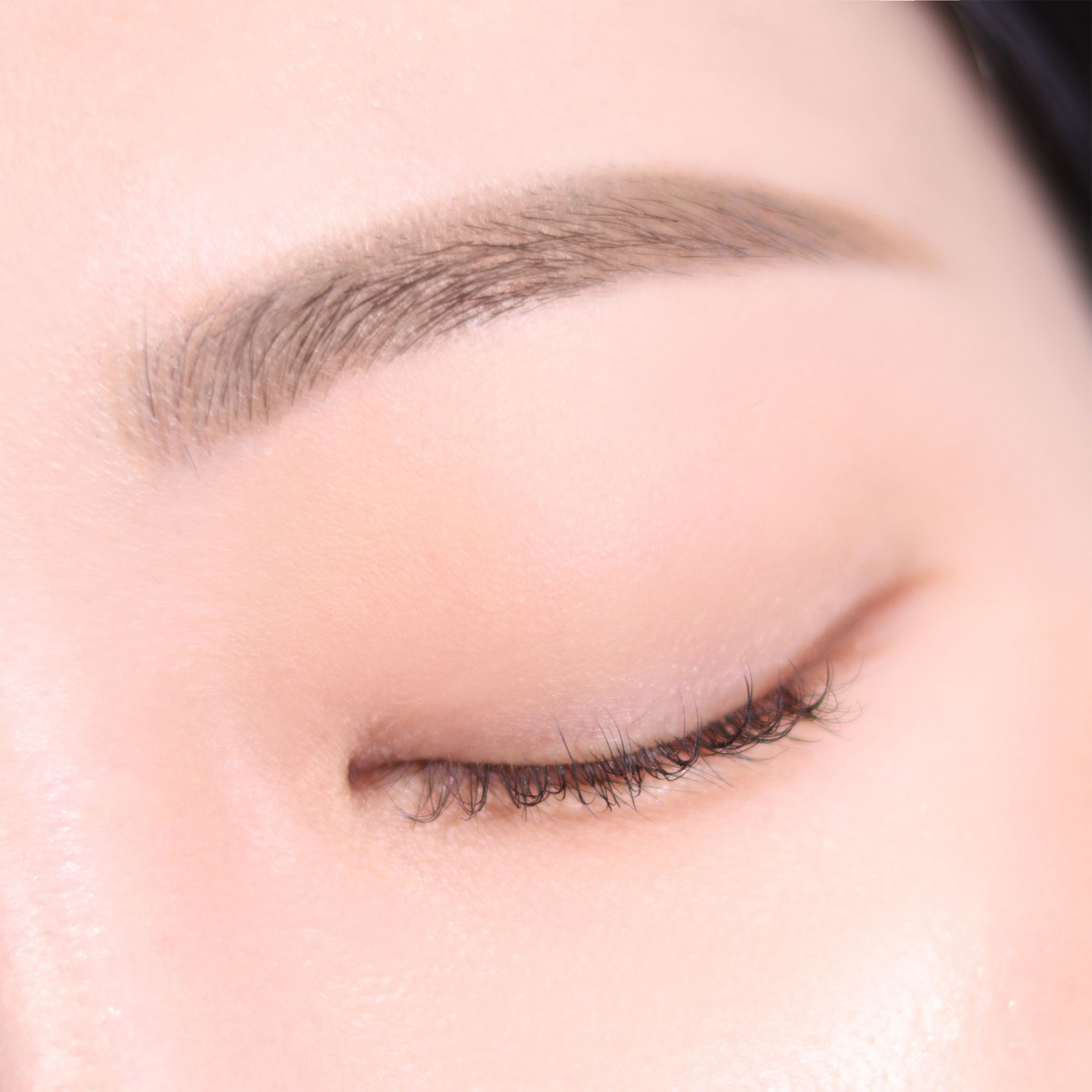 Espoir The Brow Balance Pencil #5 Light Brown - Lápiz de Cejas de Doble Punta con Tono Natural, Cepillo Integrado y Textura Cera-Polvo para Definición Perfecta