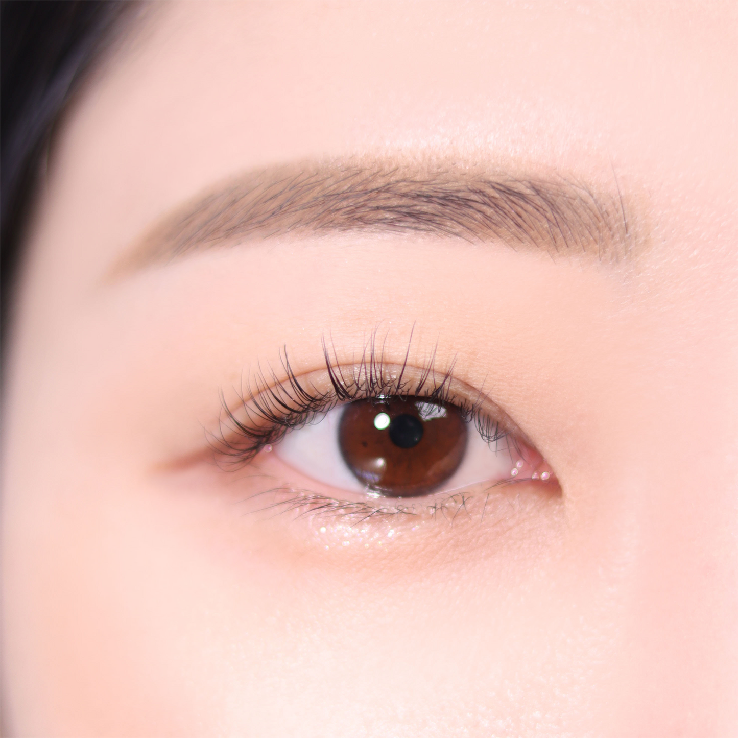 Espoir The Brow Balance Pencil #5 Light Brown - Lápiz de Cejas de Doble Punta con Tono Natural, Cepillo Integrado y Textura Cera-Polvo para Definición Perfecta