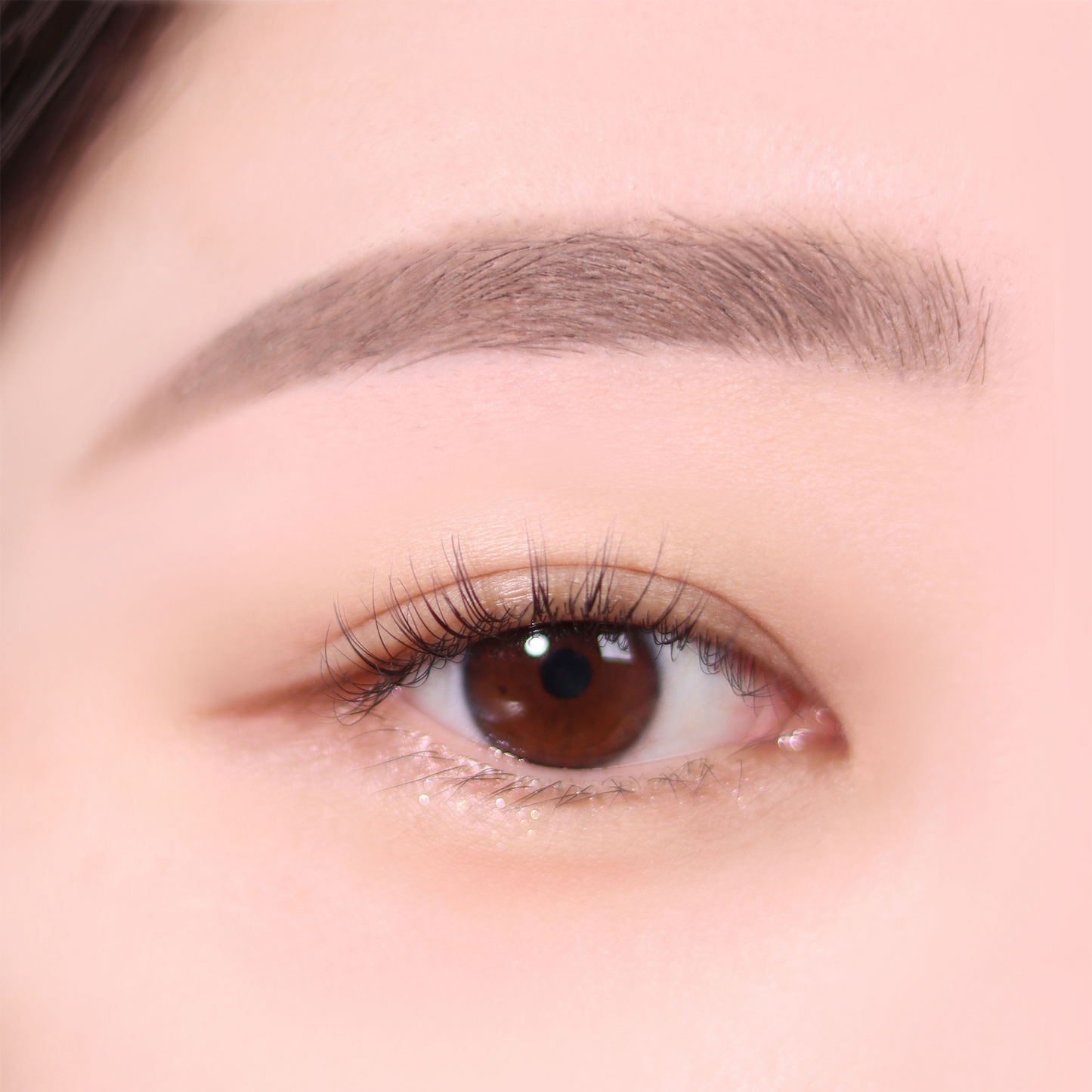 Espoir The Brow Color Fixing Mascara #2 Taupe 3g  - Máscara Fijadora de Color para Cejas de Larga Duración, Tinte Semipermanente y Fijación 3D Impermeable