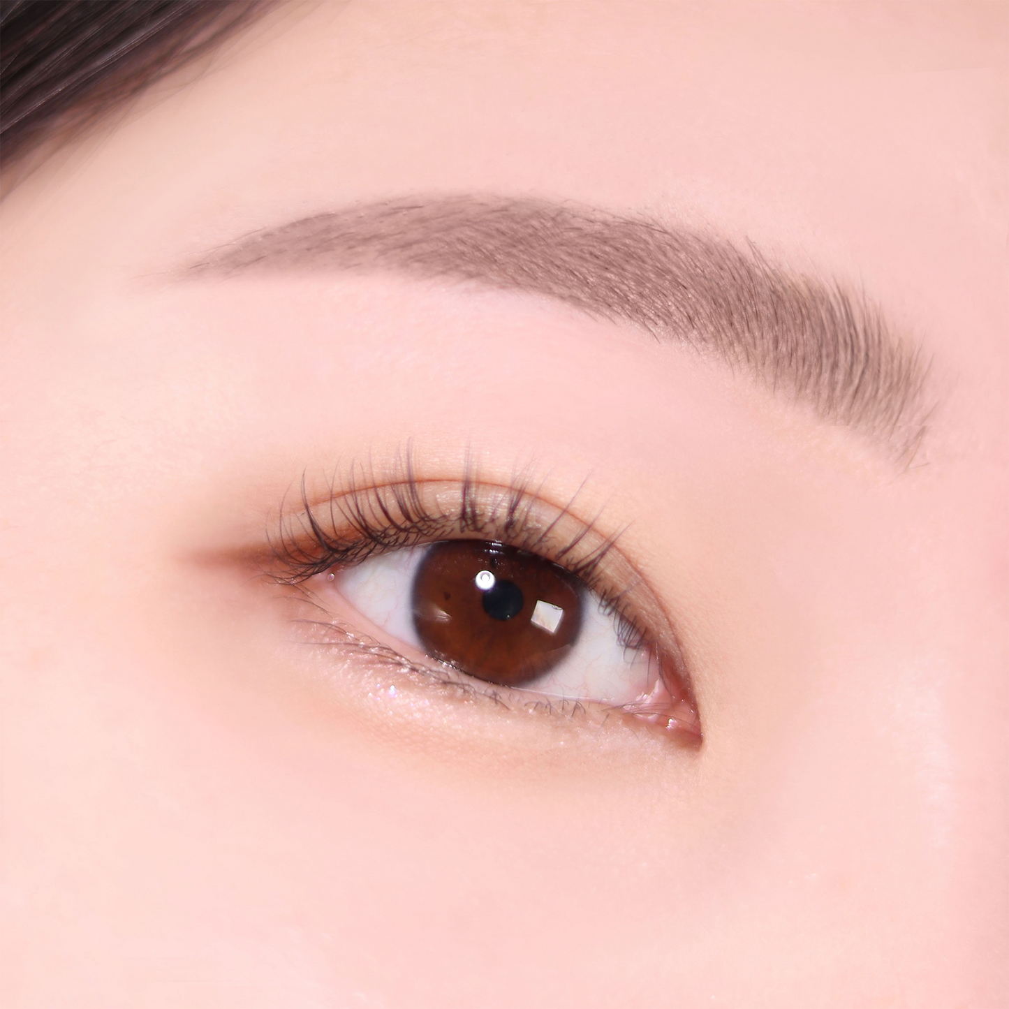 Espoir The Brow Color Fixing Mascara #2 Taupe 3g  - Máscara Fijadora de Color para Cejas de Larga Duración, Tinte Semipermanente y Fijación 3D Impermeable