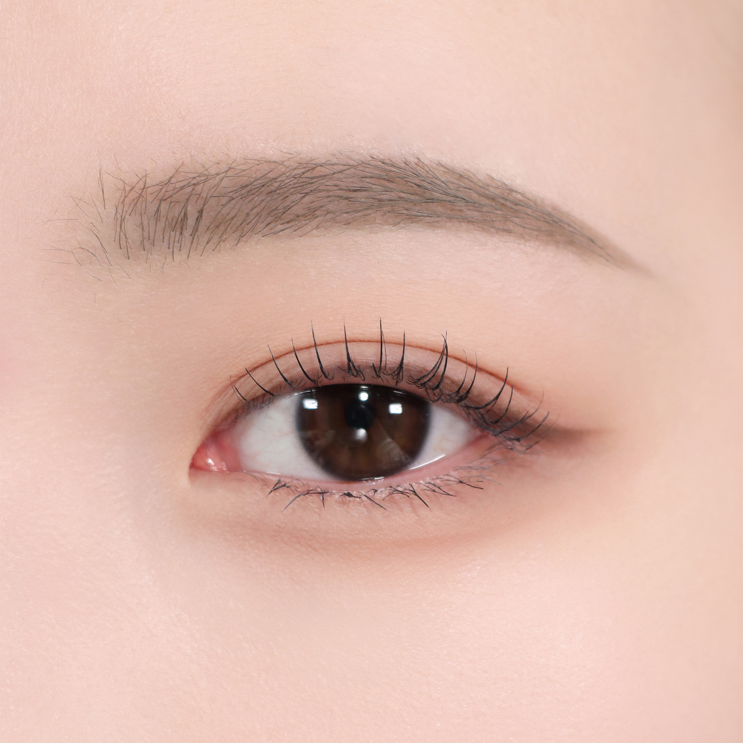 Espoir The Brow Color Fixing Mascara #3 Cool Gray 3g  - Máscara Fijadora de Color para Cejas de Larga Duración, Tinte Semipermanente y Fijación 3D Impermeable