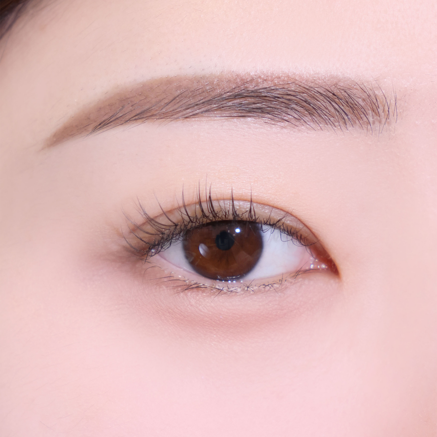 Espoir The Brow Balance Pencil #1 Classic Brown - Lápiz de Cejas de Doble Punta con Tono Natural, Cepillo Integrado y Textura Cera-Polvo para Definición Perfecta