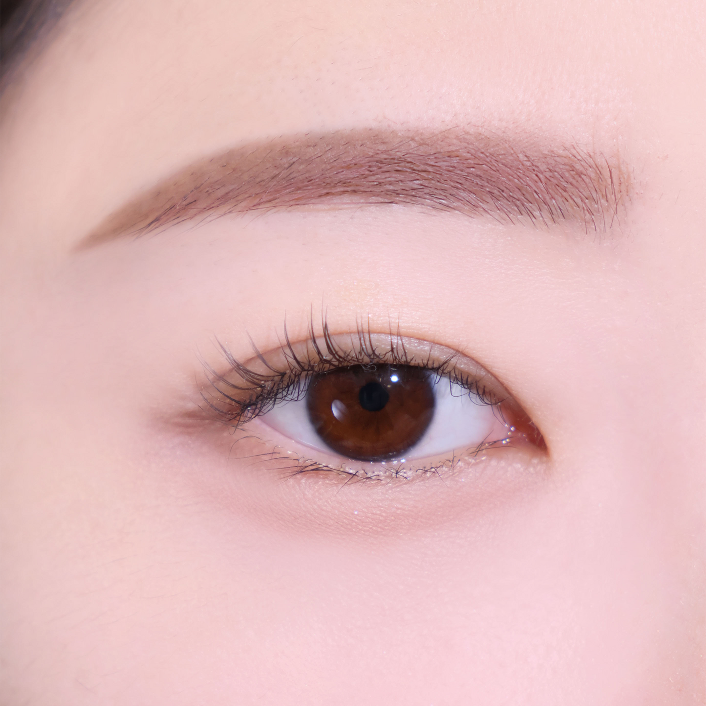 Espoir The Brow Balance Pencil #1 Classic Brown - Lápiz de Cejas de Doble Punta con Tono Natural, Cepillo Integrado y Textura Cera-Polvo para Definición Perfecta