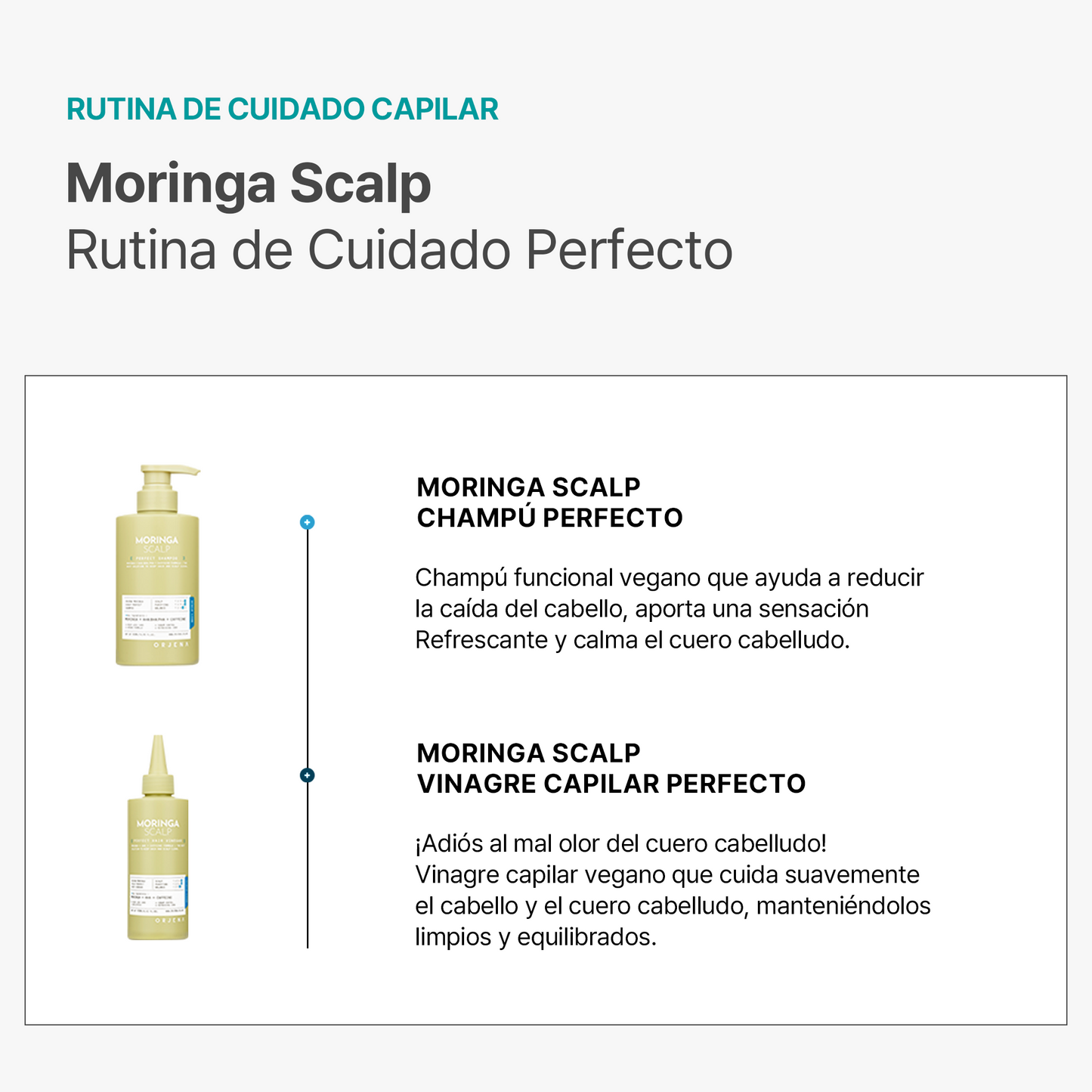 ORJENA Moringa Scalp Perfect Shampoo 500ml – Champú Limpiador y Calmante con Extracto de Moringa y Ácidos Exfoliantes para Cuero Cabelludo Sensible y Graso