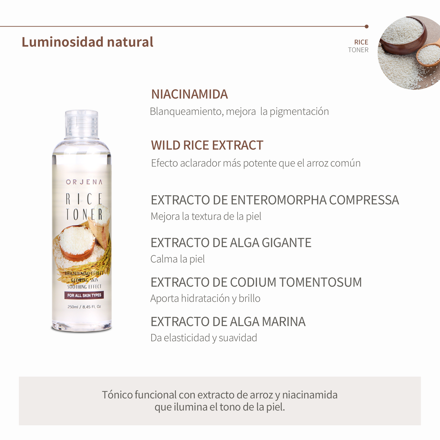 ORJENA Rice Toner 250ml – Tónico Facial Hidratante y Despigmentante con Extracto Natural de Arroz y Niacinamida