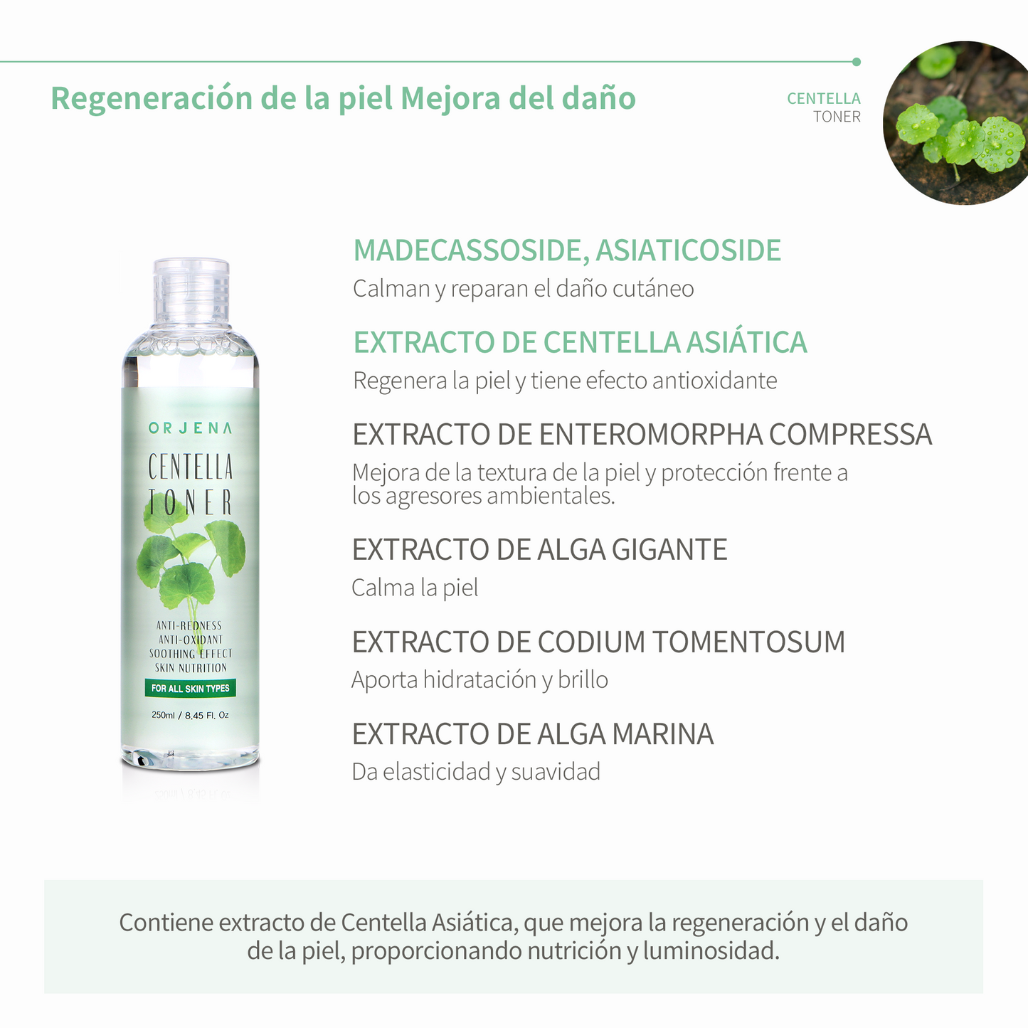 ORJENA Centella Toner 250ml – Tónico Facial Calmante e Hidratante con Extracto de Centella Asiática para Todo Tipo de Piel