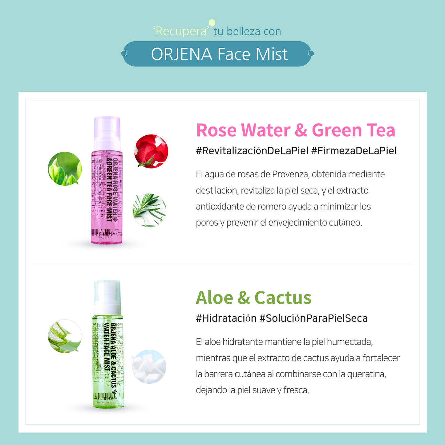 ORJENA Rose Water & Green Tea Face Mist 125ml – Bruma Facial Hidratante y Antioxidante con Extractos Naturales de Rosa y Té Verde