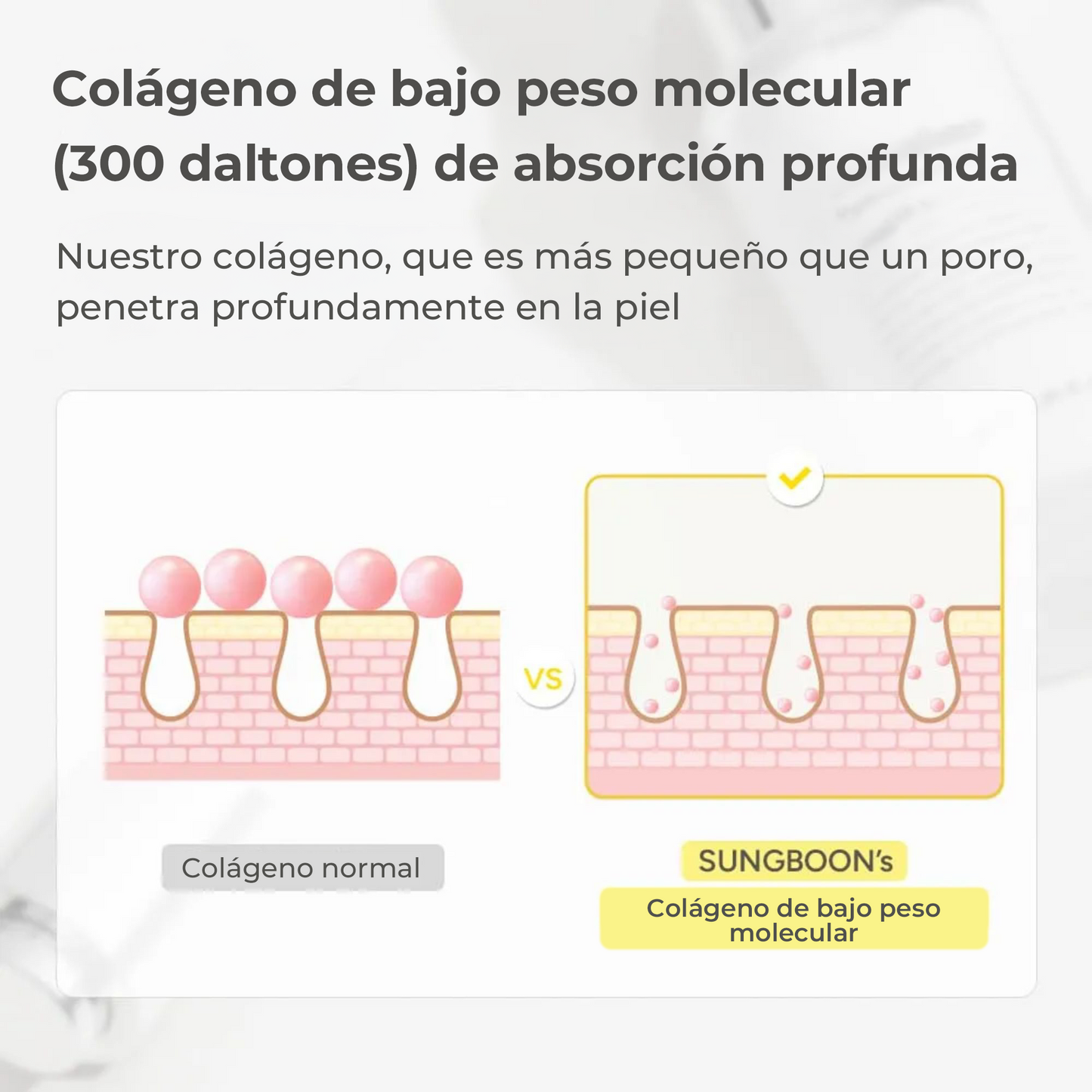 SUNGBOON EDITOR Deep Collagen Anti-wrinkle Cream In Serum 30ml - Crema Suero Antiarrugas con Colágeno Ultra Hidratante y Efecto Lifting