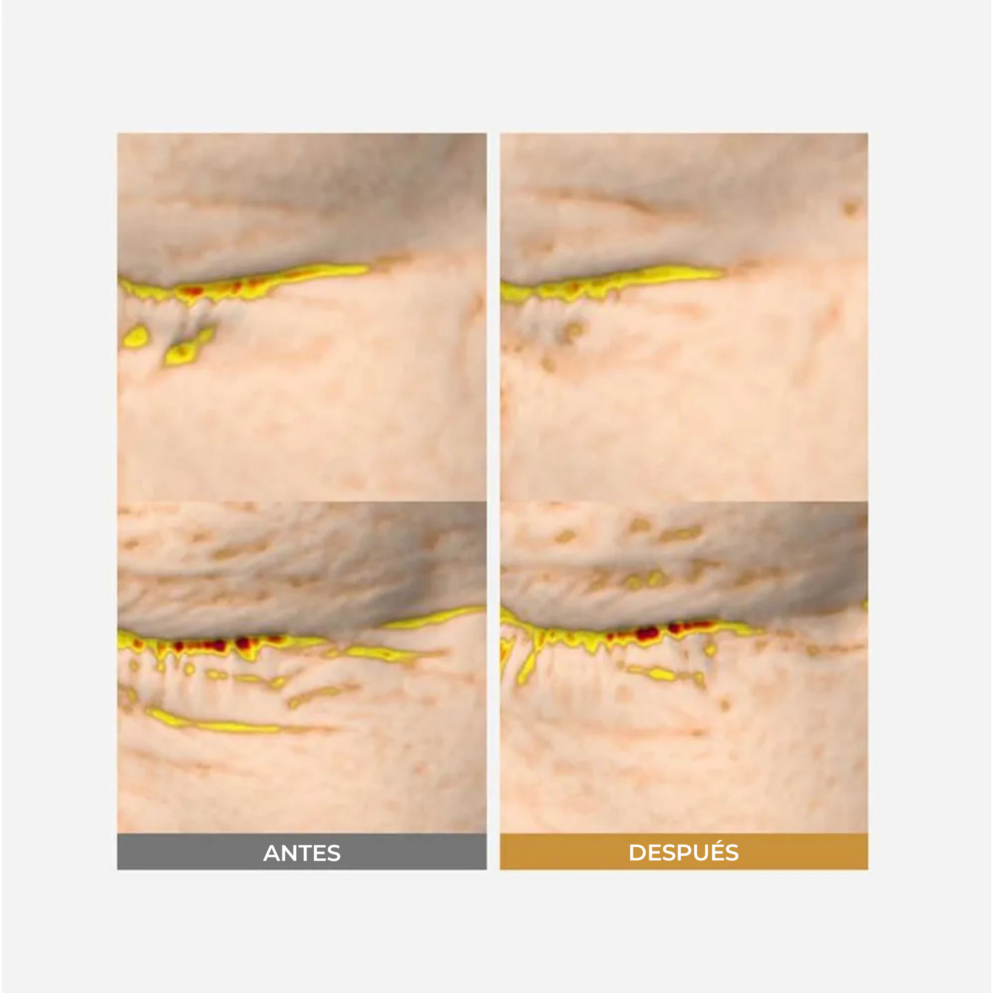 SUNGBOON EDITOR Deep Collagen Anti-wrinkle Cream In Serum 30ml - Crema Suero Antiarrugas con Colágeno Ultra Hidratante y Efecto Lifting