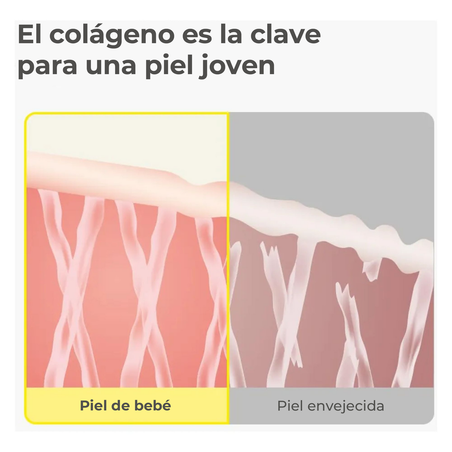 SUNGBOON EDITOR Deep Collagen Anti-wrinkle Cream In Serum 30ml - Crema Suero Antiarrugas con Colágeno Ultra Hidratante y Efecto Lifting